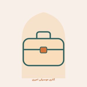 هاردکیس ویولن برزنتی Canvas violin hard case