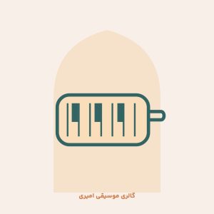 ملودیکا آیرین 37 کلید Melodica Irin 37 keys