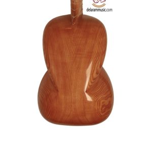 تار علیرضا علیاری یک مهر