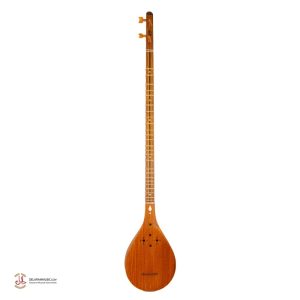 سه تار مسعود( الگو استادهاشمی)