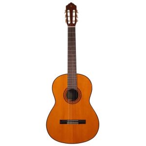 گیتار آکوستیک شکتر مدل Deluxe Acoustic