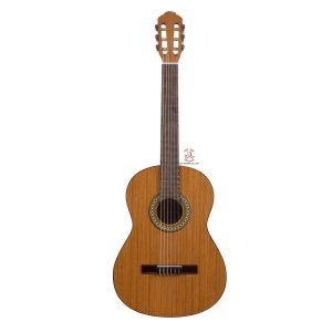گیتار خانی مدل P500