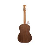 گیتار خانی مدل P500