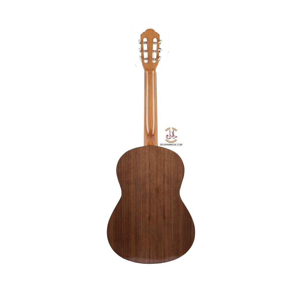 گیتار خانی مدل P500