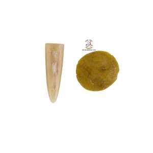 مضراب تار شاخ