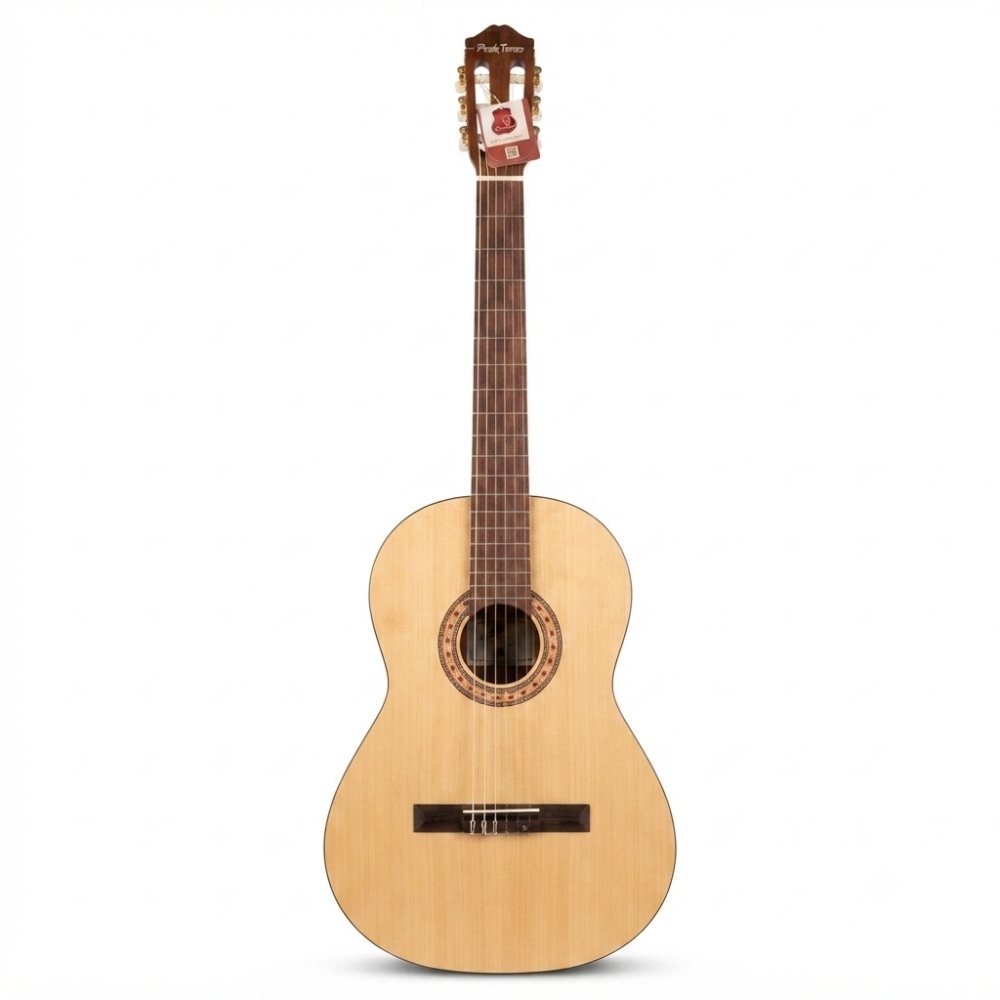 گیتار کلاسیک Peaktones مدل L4