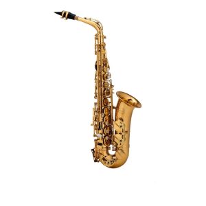 ساکسیفون آلتو شاتو CHATEAU CAS-22GL