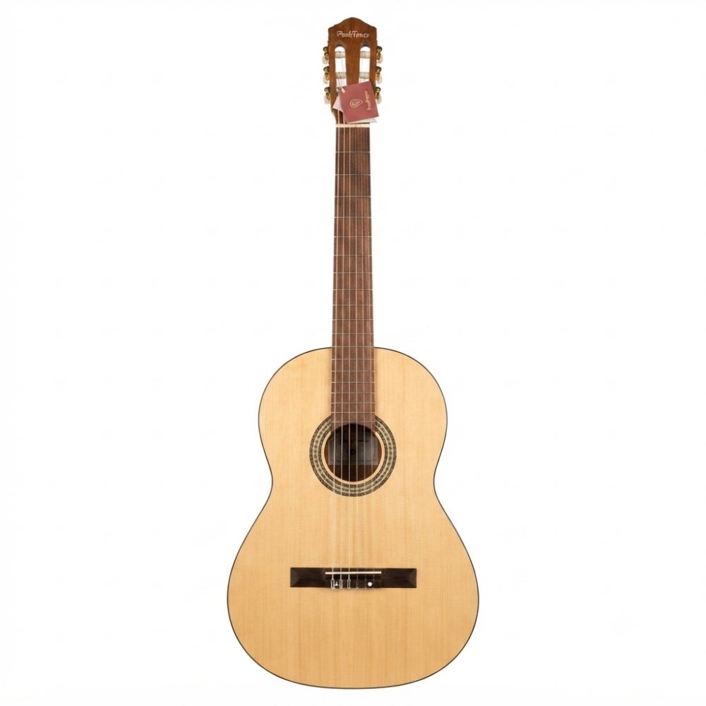 گیتار کلاسیک Peaktones مدل L3